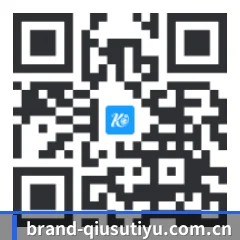 Apple 移动终端版 二维码